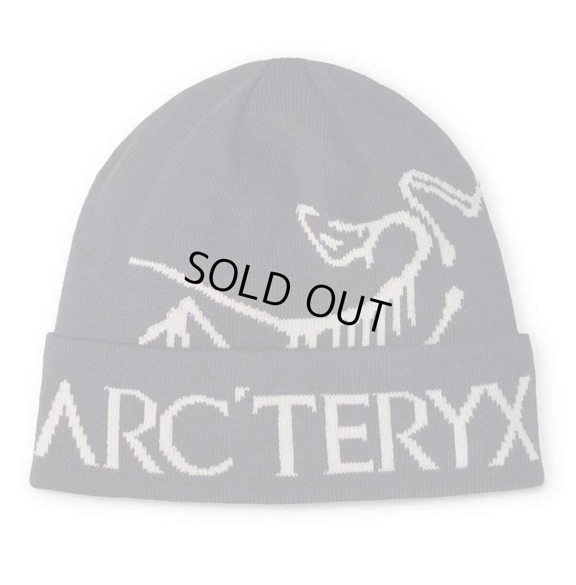 画像1: ARC'TERYX Bird Word Toque Knit Cap Black/Void アークテリクス (1)