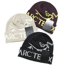 画像1: ARC'TERYX Bird Word Toque Knit Cap アークテリクス (1)