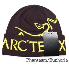 画像4: ARC'TERYX Bird Word Toque Knit Cap アークテリクス (4)