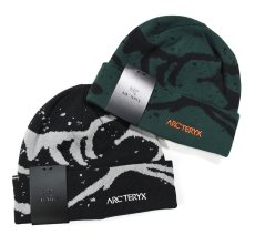 画像1: ARC'TERYX Grotto Toque Knit Cap アークテリクス (1)